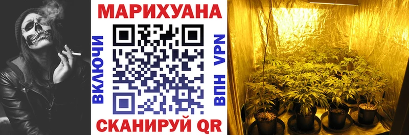 Канабис семена  даркнет сайт  Томилино 